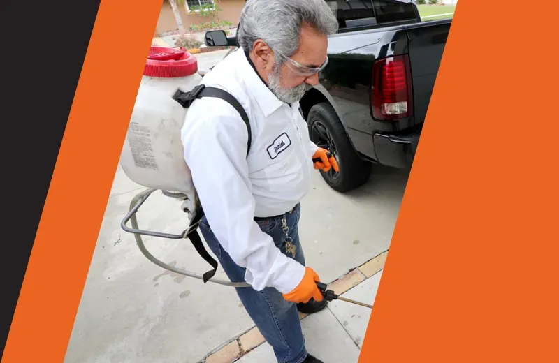 Tech Spraying Exterior Of Home