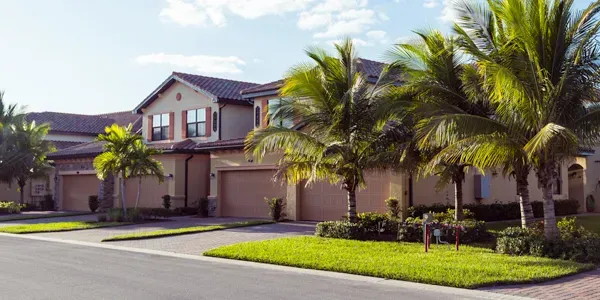 Termite free homes